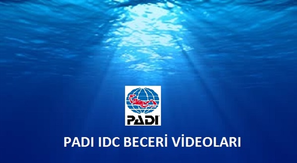 IDC Beceri Videoları